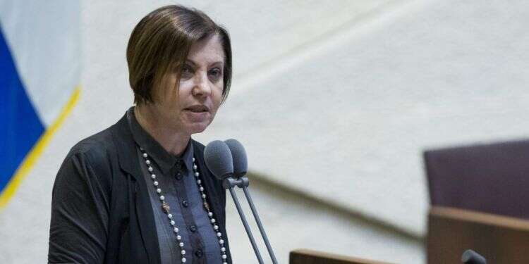 זהבה גלאון. צילום: יונתן זינדל, פלאש 90 צילום: יונתן זינדל, פלאש 90