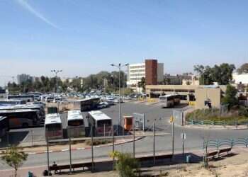 צילום: דודו גרינשפן