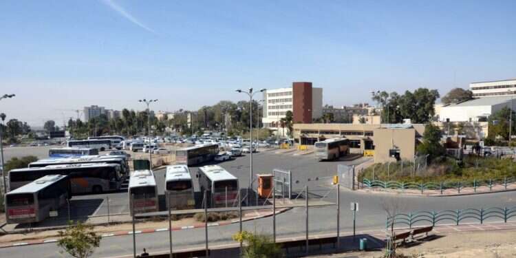 מסוף תחבורה ציבורית בערד. צילום: דודו גרינשפן צילום: דודו גרינשפן