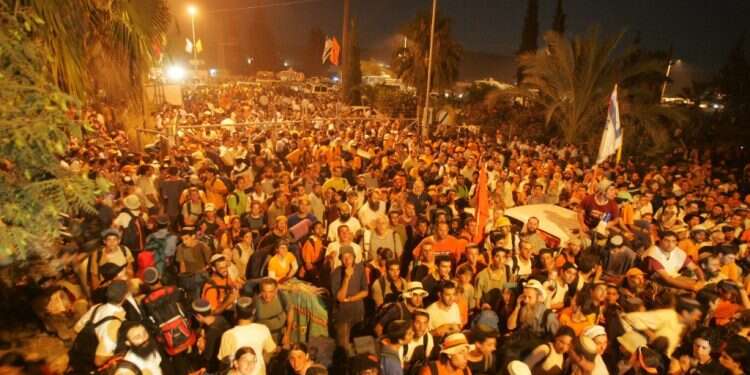 צילום: מרים צחי