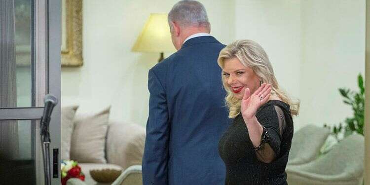 צילום: אמיל סלמן