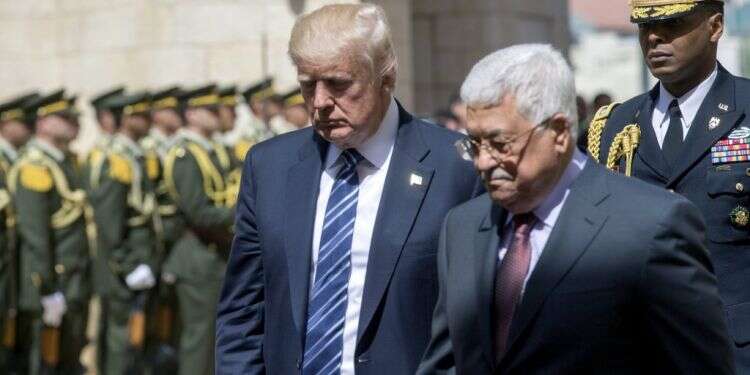 אבו מאזן ודונלד טראמפ. צילום: EPA צילום: EPA