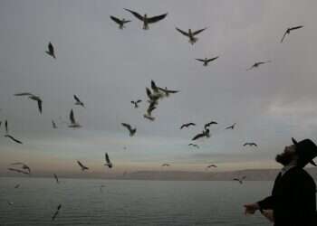 צילום: מרים צחי