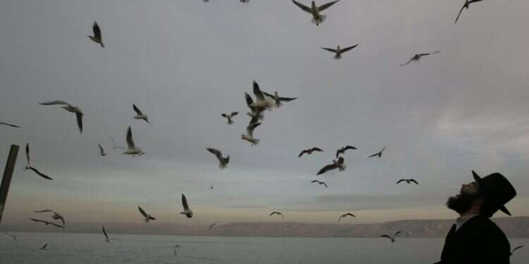 תפילה על הבצורת בטבריה, 2008. צילום: מרים צחי צילום: מרים צחי