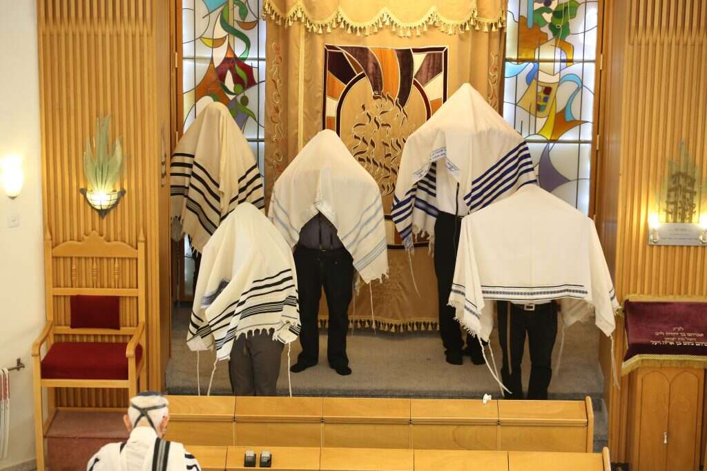 צילום: מרים צחי