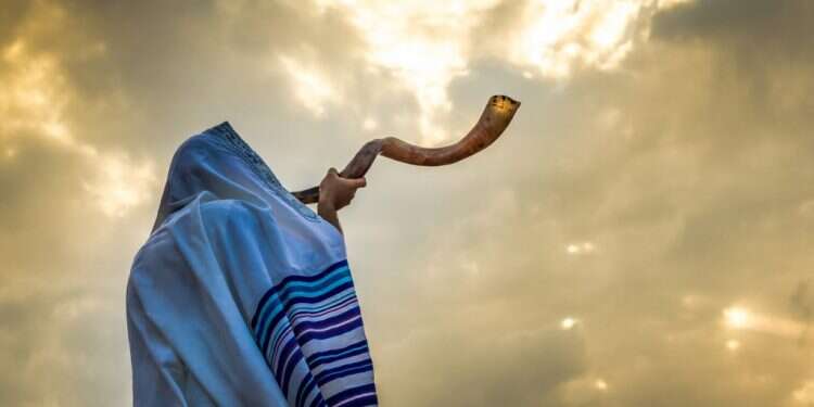 צילום: שאטרסטוק  צילום: שאטרסטוק