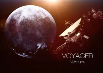 צילום: שאטרסטוק