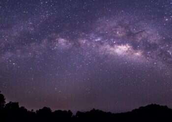 צילום: שאטרסטוק