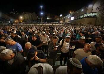 צילום: עזרא לנדאו