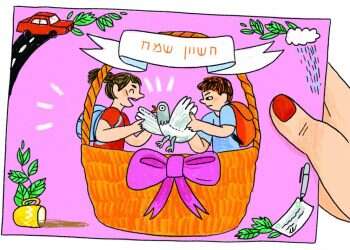 איור. מורן ברק