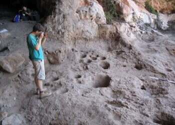 צילום: דני נדל