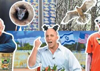 צילום: AFP, צילום מסך מתוך ארץ נהדרת, שאטרסטוק, יחזקאל איטקין, EPA, רויטרס