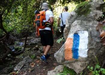 צילום: דב גרינבלט - החברה להגנת הטבע