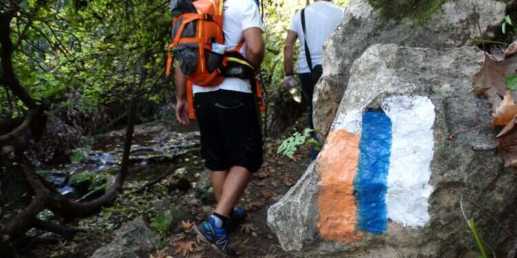 נחל עמוד. צילום: דב גרינבלט - החברה להגנת הטבע צילום: דב גרינבלט - החברה להגנת הטבע