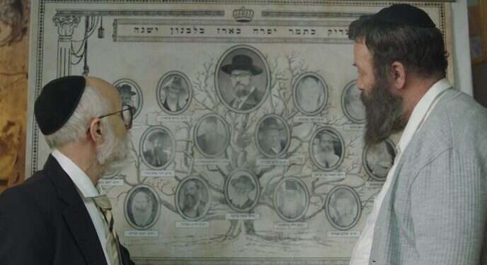 צילום: ירון שרף