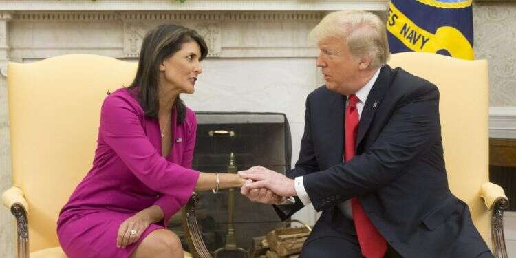 טראמפ והיילי. צילום: EPA צילום: EPA