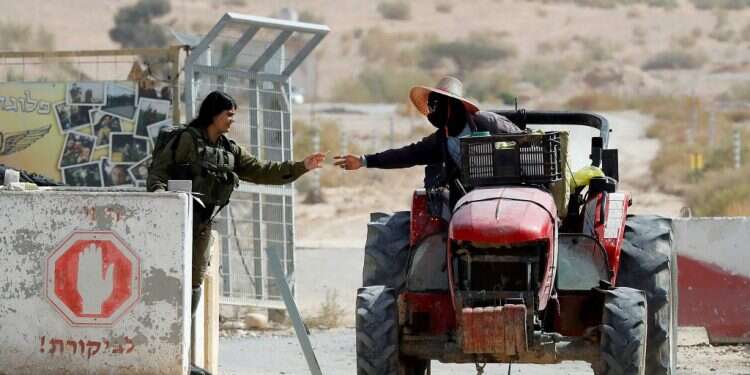 צילום: מרים צחי