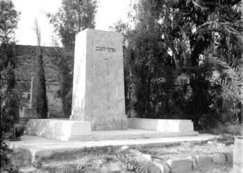 צילום: זולטם קלוגר, לע''מ