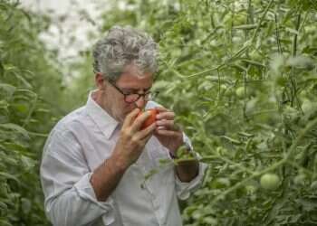 צילום: פיני סילוק