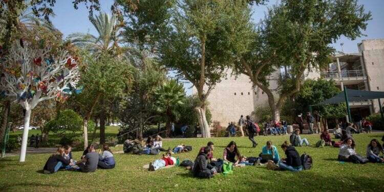 קמפוס האוניברסיטה העברית. צילום: מרים אלסטר, פלאש 90 צילום: מרים אלסטר, פלאש 90