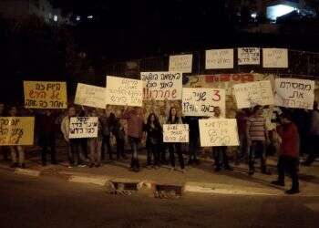 הפגנת התמיכה בגל הירש.. צילום: נטעאל בנדל