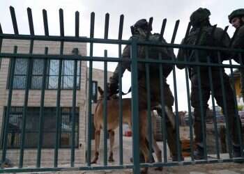 צילום: דובר צה''ל