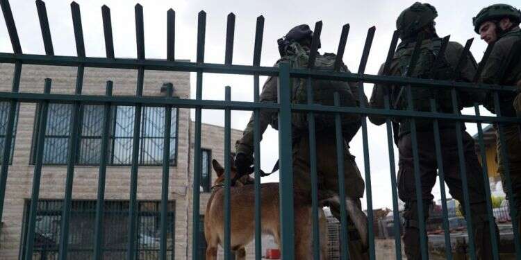 צילום: דובר צה''ל