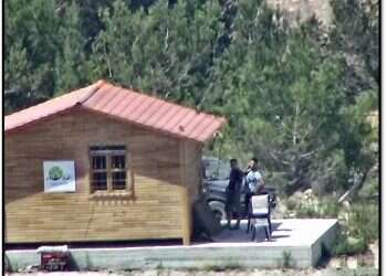 צילום: דו''צ