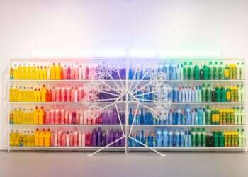 צילום: אבישג שאר-ישוב