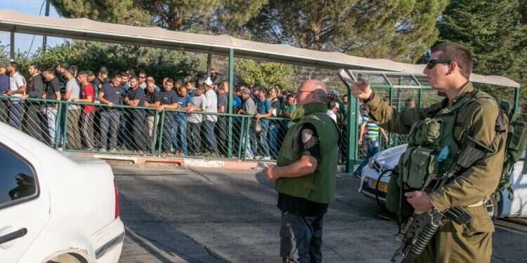 צילום: יוסי אלוני