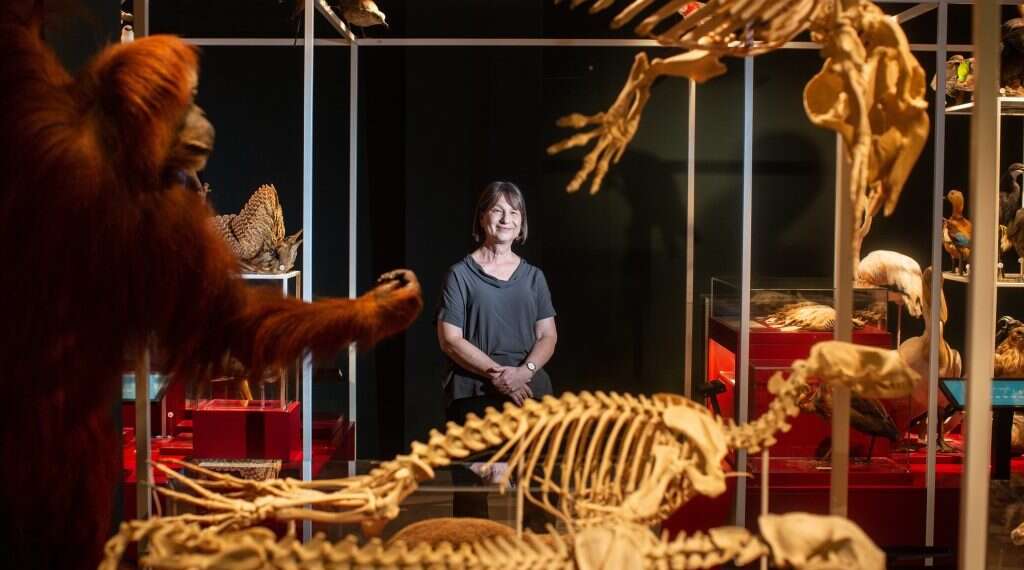 פרופ' תמר דיין . צילום: אבישג שאר-ישוב צילום: אבישג שאר-ישוב