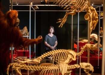 צילום: אבישג שאר-ישוב