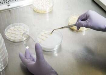 צילום: Tim Gruber for The Washington Post