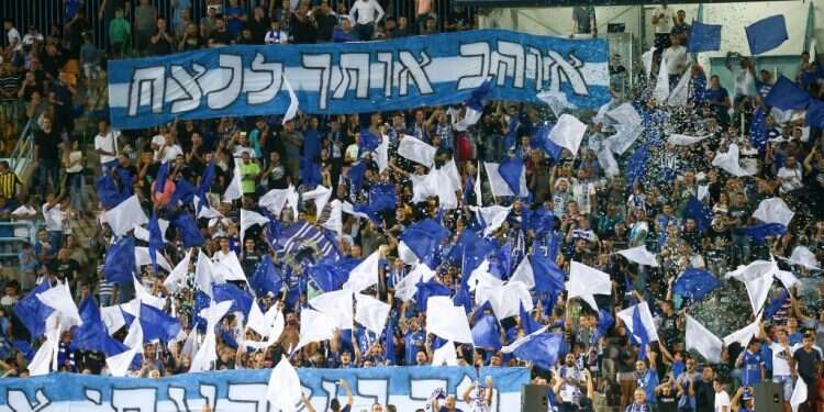 צילום: דני מרון