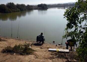 צילום: דודו גרינשפן