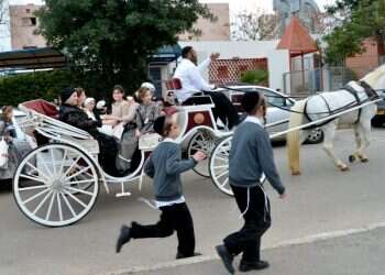 צילום: פלאש 90