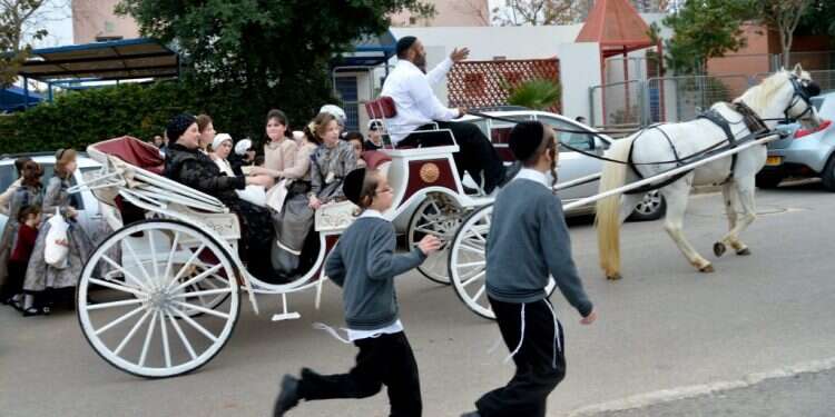 צילום: פלאש 90