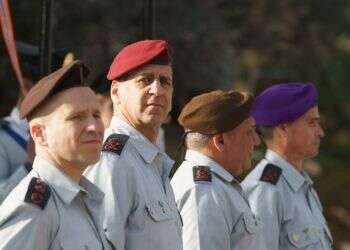 צילום: אנצ׳ו גוש - ג׳יני