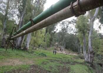 צילום: מרים צחי
