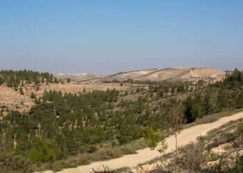 צילום: שאטרסטוק