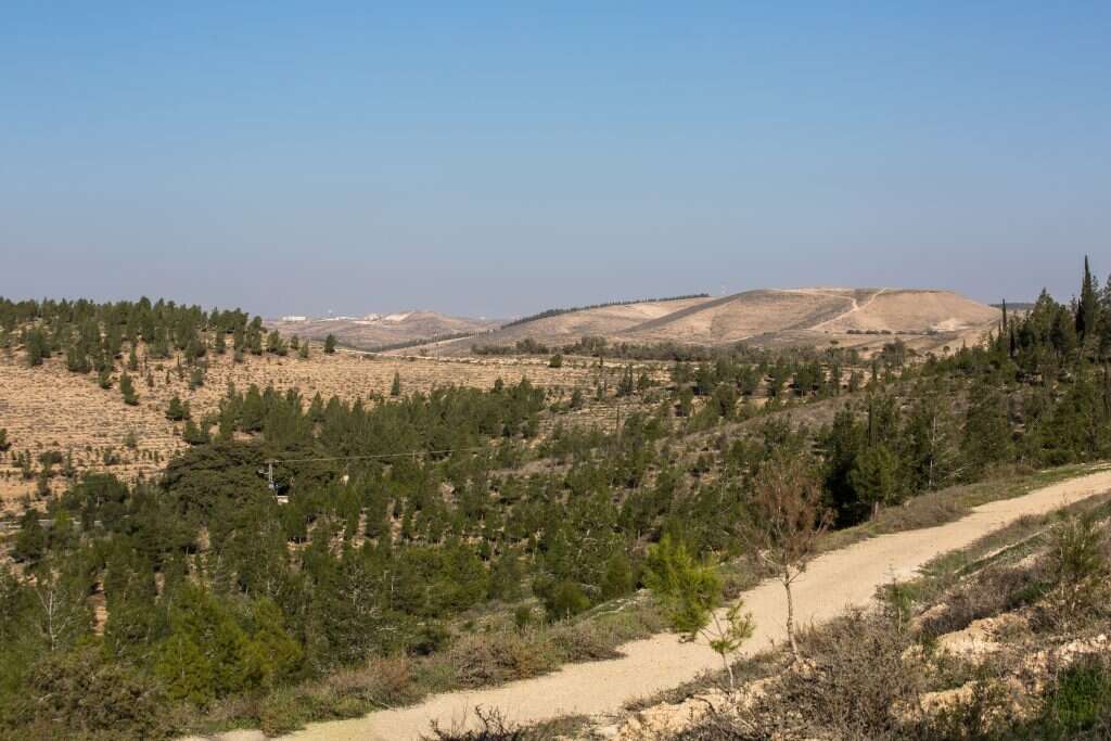 צילום: שאטרסטוק