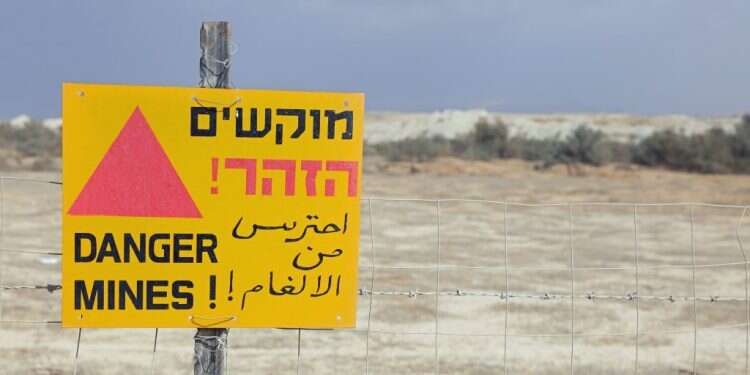 צילום: שאטרסטוק צילום: שאטרסטוק