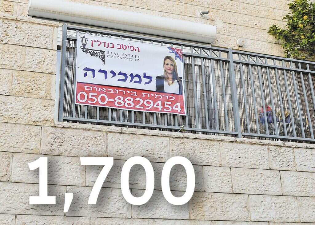 צילום: יוסי זליגר
