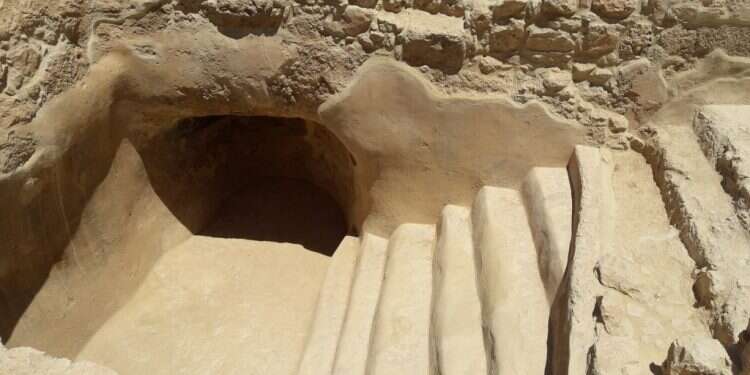 צילום: נעם ארנון