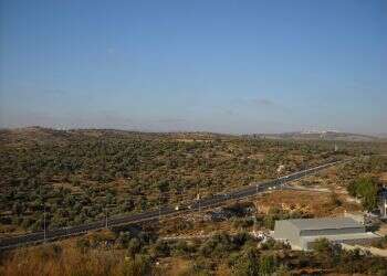 צילום: בוב שלג