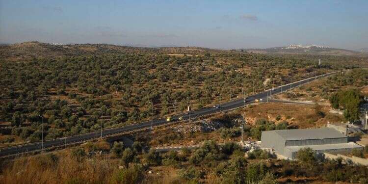 צילום: בוב שלג