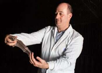 צילום: אבישג שאר-ישוב