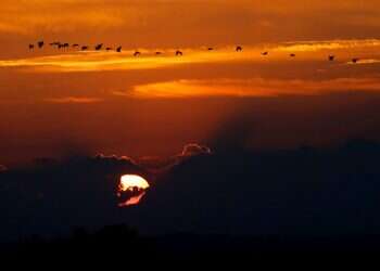 שקיעה בשדרות. צילום: AFP צילום: AFP