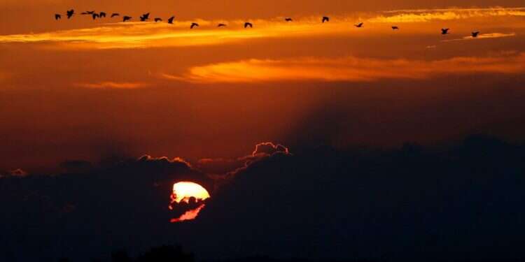 שקיעה בשדרות. צילום: AFP צילום: AFP