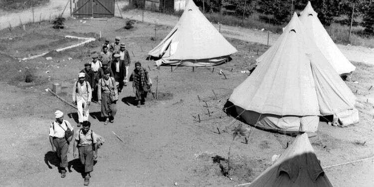 עולים חדשים במחנה עולים. צילום: קלוגר זולטן, לע''מ צילום: קלוגר זולטן, לע''מ